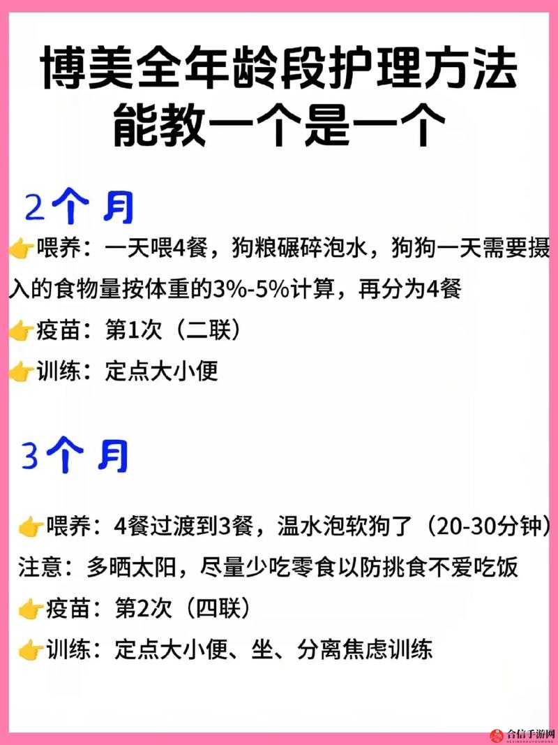 人狗胶配方大全狗狗一：揭秘狗狗健康与幸福的秘密